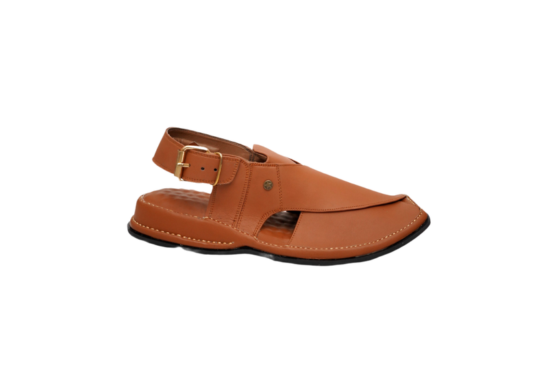 Casual Chappal-013